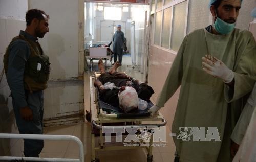 Suicide bombing kills 12 people in Afghanistan - ảnh 1